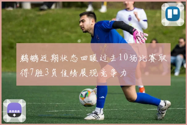 鹈鹕近期状态回暖过去10场比赛取得7胜3负佳绩展现竞争力